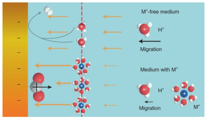 爭議連連！這一話題連發(fā)5篇Nature Catalysis！