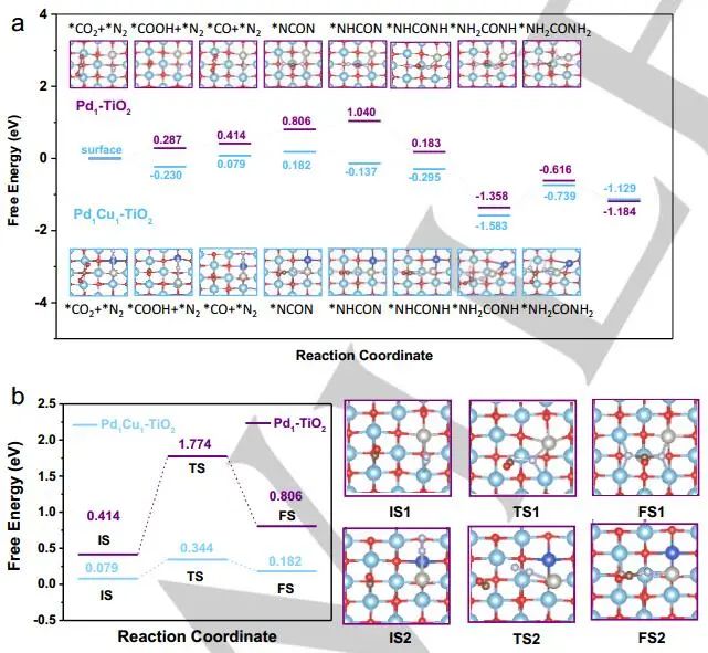 計算日報||頂刊集錦：EES/AM/AEM/Angew/AFM/Small等計算成果