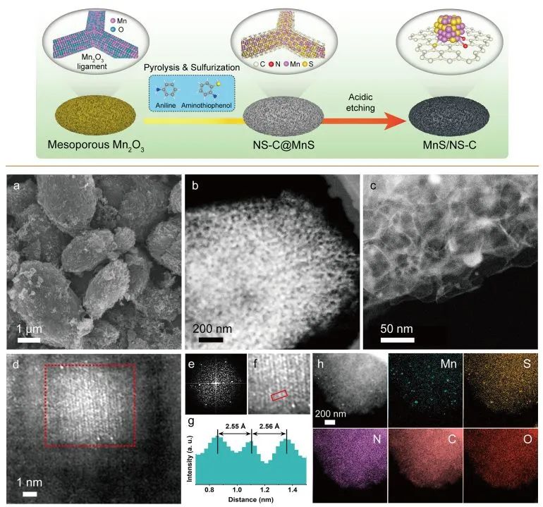 催化頂刊集錦：EES、JACS、Angew.、Nat. Commun.、AFM、ACS Nano、Small