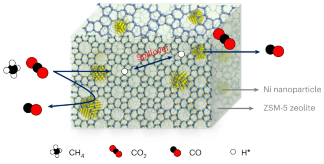 浙江大學(xué)肖豐收/王亮團(tuán)隊(duì)，再發(fā)Nature Catalysis！