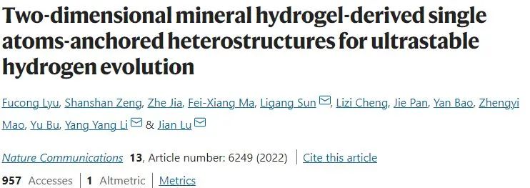 呂堅/李揚揚/孫李剛Nature子刊： 單原子錨定異質結構催化劑，實現超穩態析氫