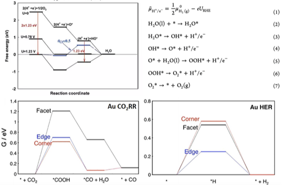 Nature Catalysis、JACS、Angew.、AM、AEM、AFM、EES等頂刊狂發，DFT代算好評如潮！