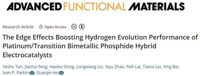 AFM：邊緣效應起大作用！顯著促進Pt/過渡雙金屬磷化物HER性能