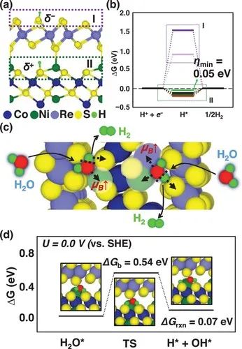 催化頂刊集錦：AFM、Angew、Nature子刊、JMCA、ACS Nano等成果