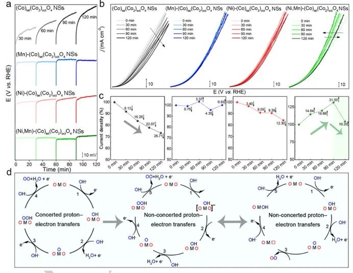 催化頂刊集錦：AFM、Angew、Nature子刊、JMCA、ACS Nano等成果