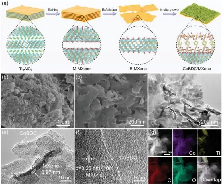 催化頂刊集錦：JACS、Nature子刊、AFM、ACS Catalysis、Adv. Sci.、Small等