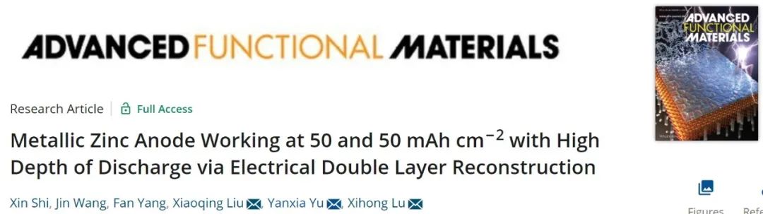 中大/廣工大AFM：可在50 mA/cm2和mAh/cm2下工作的鋅金屬負極