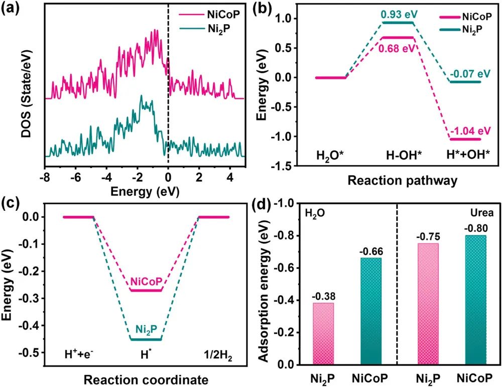 催化頂刊集錦：AFM、Angew、Nature子刊、JMCA、ACS Nano等成果