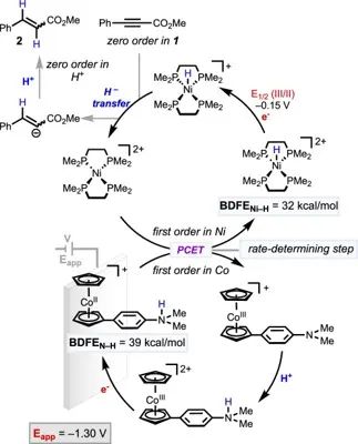 8篇催化頂刊：Nature commun.、Nat. Mater.、AM、JACS、Small等成果