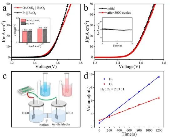 催化頂刊集錦：Nature子刊.、Angew.、AFM、ACS Catalysis、ACS Nano、Small等