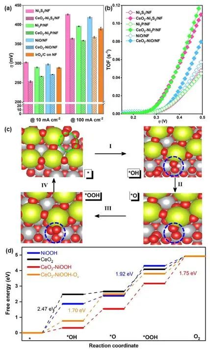 ?暨大高慶生ACS Catalysis：氧化鈰促進鎳基電催化劑重構助力高效OER