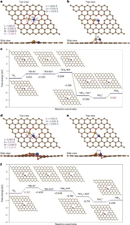 趙惠軍&張海民，最新Nature子刊！