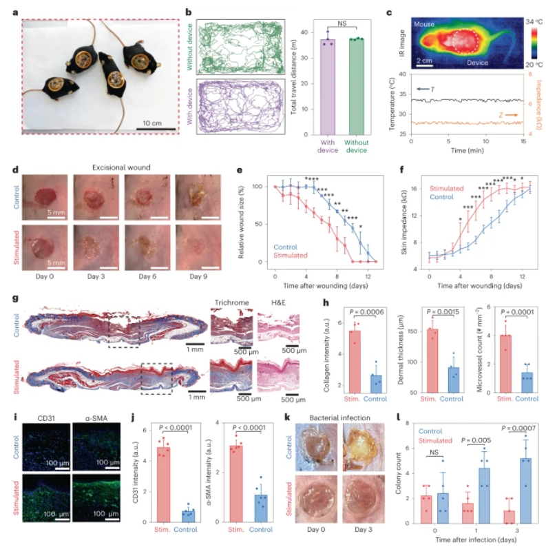 鮑哲南教授等人，最新Nature子刊！