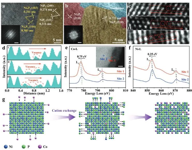 催化日報||頂刊集錦：EES/JACS/AFM/Nano Energy/ACS Catal/Small等