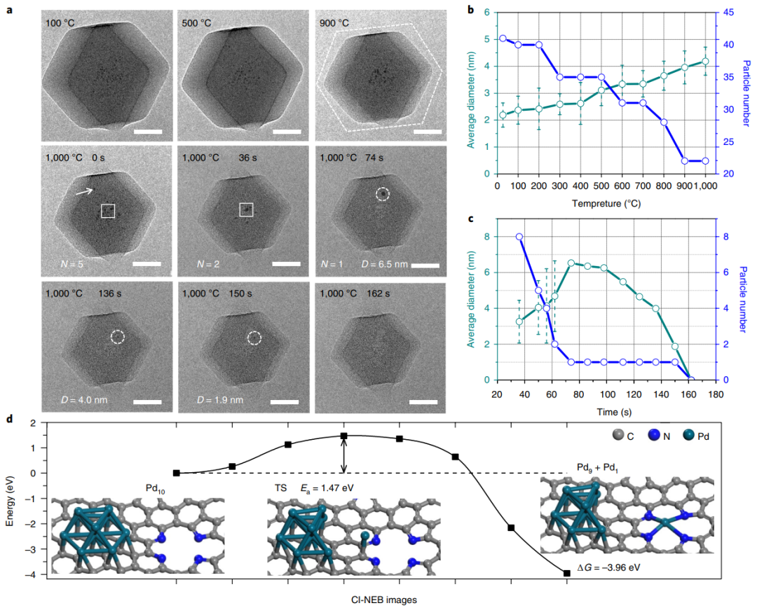 繼Nature Nanotechnology后再發JACS！李亞棟院士等人創制新型單原子催化劑！