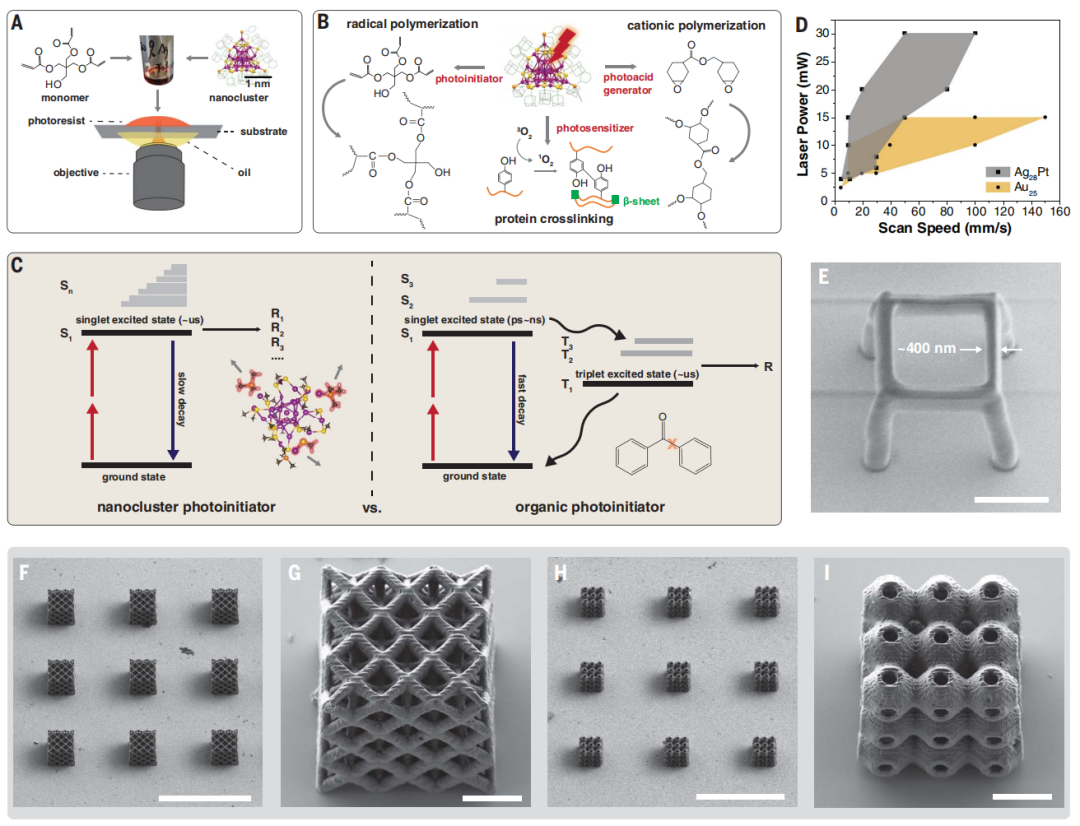 3D打印，登頂Science！