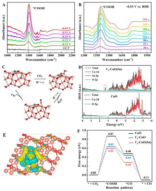 ACS Nano：氧空位協同Sn摻雜，實現低過電位下CuO上CO2還原為CO