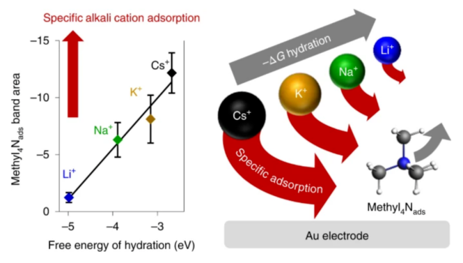 爭議連連！這一話題連發(fā)5篇Nature Catalysis！