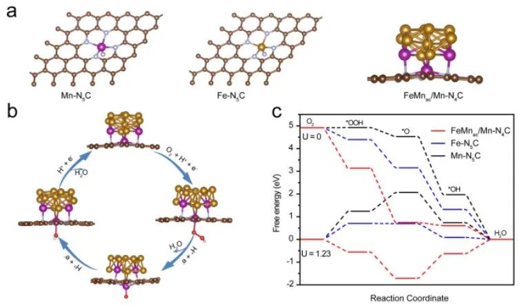 催化頂刊集錦：Angew.、JACS、EES、AM、AFM、Small等