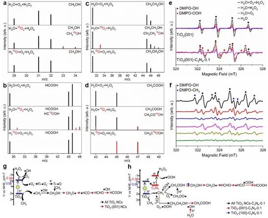 催化頂刊集錦：AFM、Angew、Nature子刊、JMCA、ACS Nano等成果
