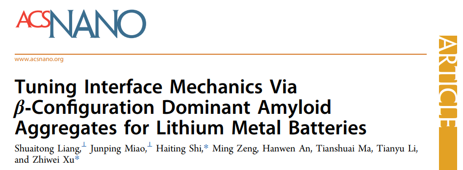?徐志偉/石海婷ACS Nano: 通過淀粉樣蛋白聚集體調節鋰金屬電池界面力學