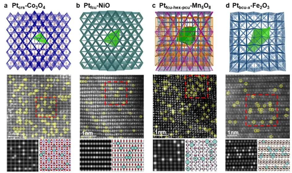 喬世璋/鄭堯/朱藝涵，最新JACS！