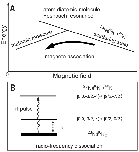 發(fā)science，創(chuàng)里程碑！潘建偉團(tuán)隊(duì)第25篇Nature及Science！