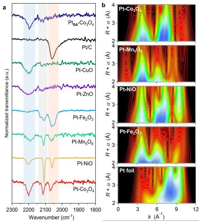 喬世璋/鄭堯/朱藝涵，最新JACS！