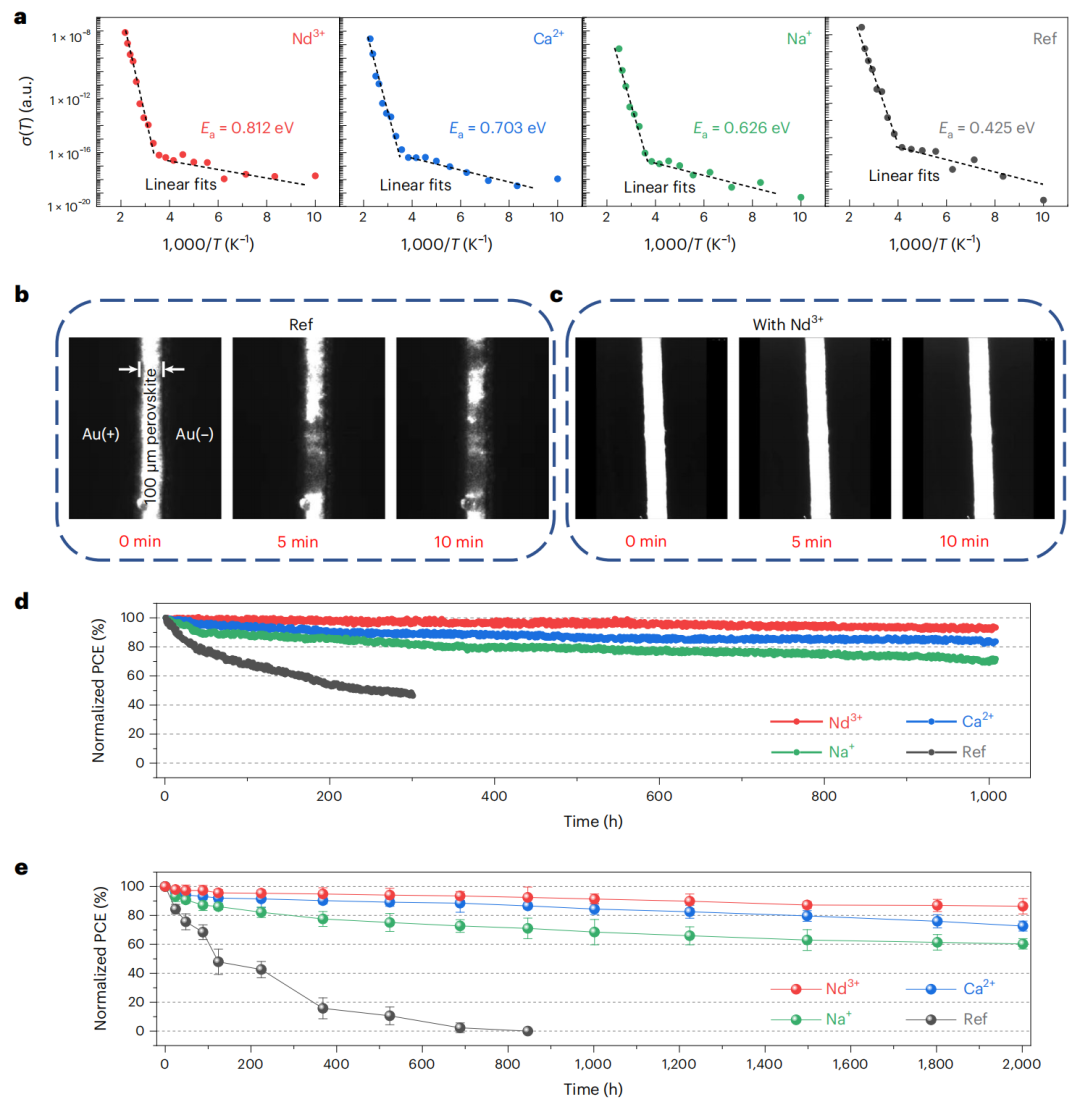 UCLA楊陽教授，最新Nature Materials！