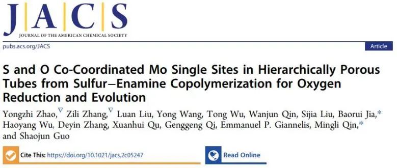 ?北科JACS：配位環境不可忽視！S、O協同促進Mo位點催化ORR和OER