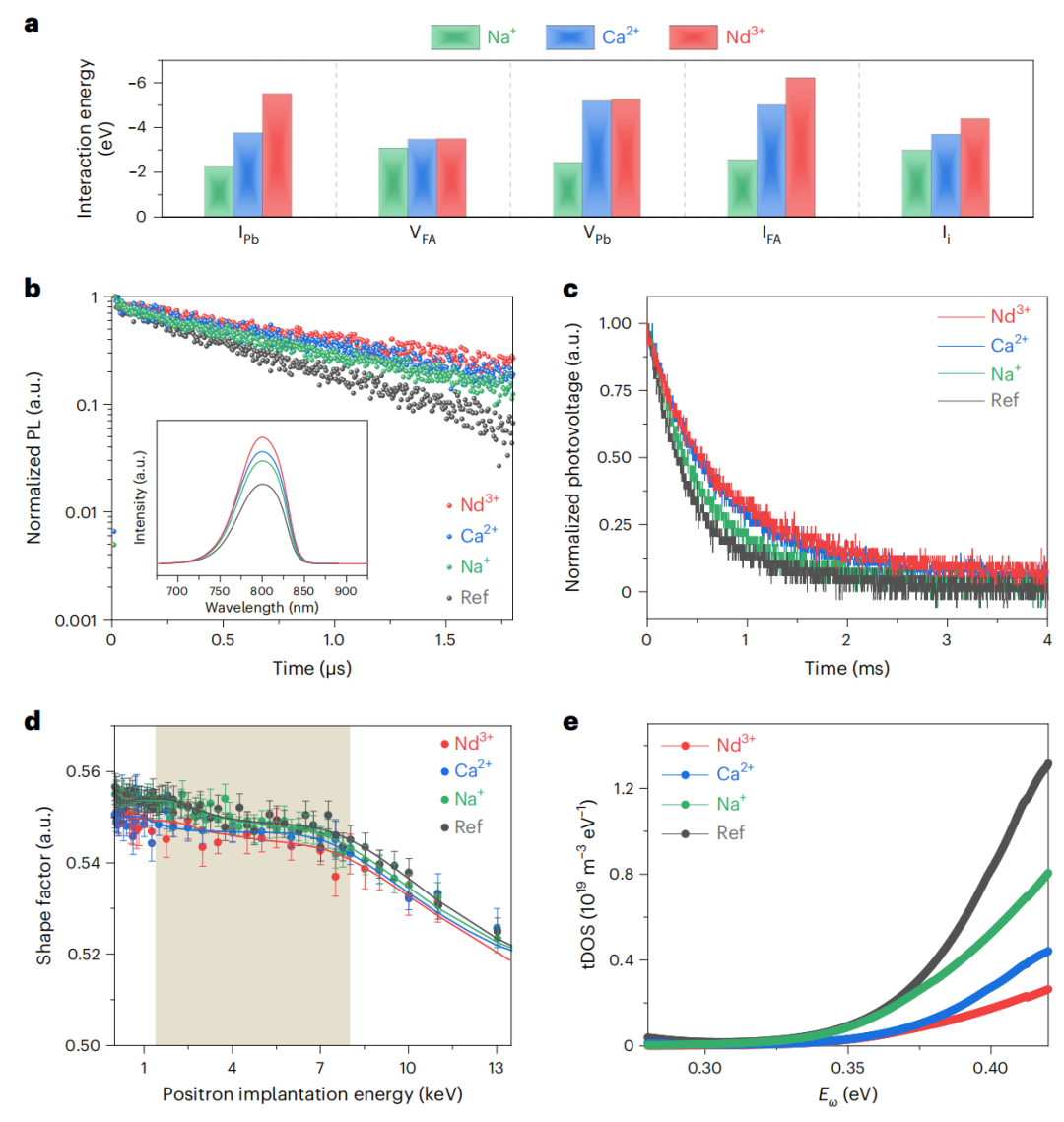UCLA楊陽教授，最新Nature Materials！