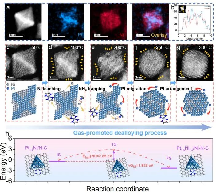 催化日報||頂刊集錦：EES/JACS/AFM/Nano Energy/ACS Catal/Small等