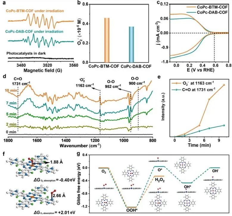 催化頂刊集錦：EES、JACS、Angew.、Nat. Commun.、AFM、ACS Nano、Small