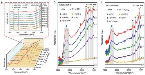 催化頂刊集錦：AFM、Angew、Nature子刊、JMCA、ACS Nano等成果