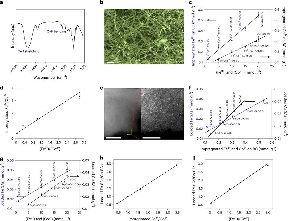 趙惠軍&張海民，最新Nature子刊！