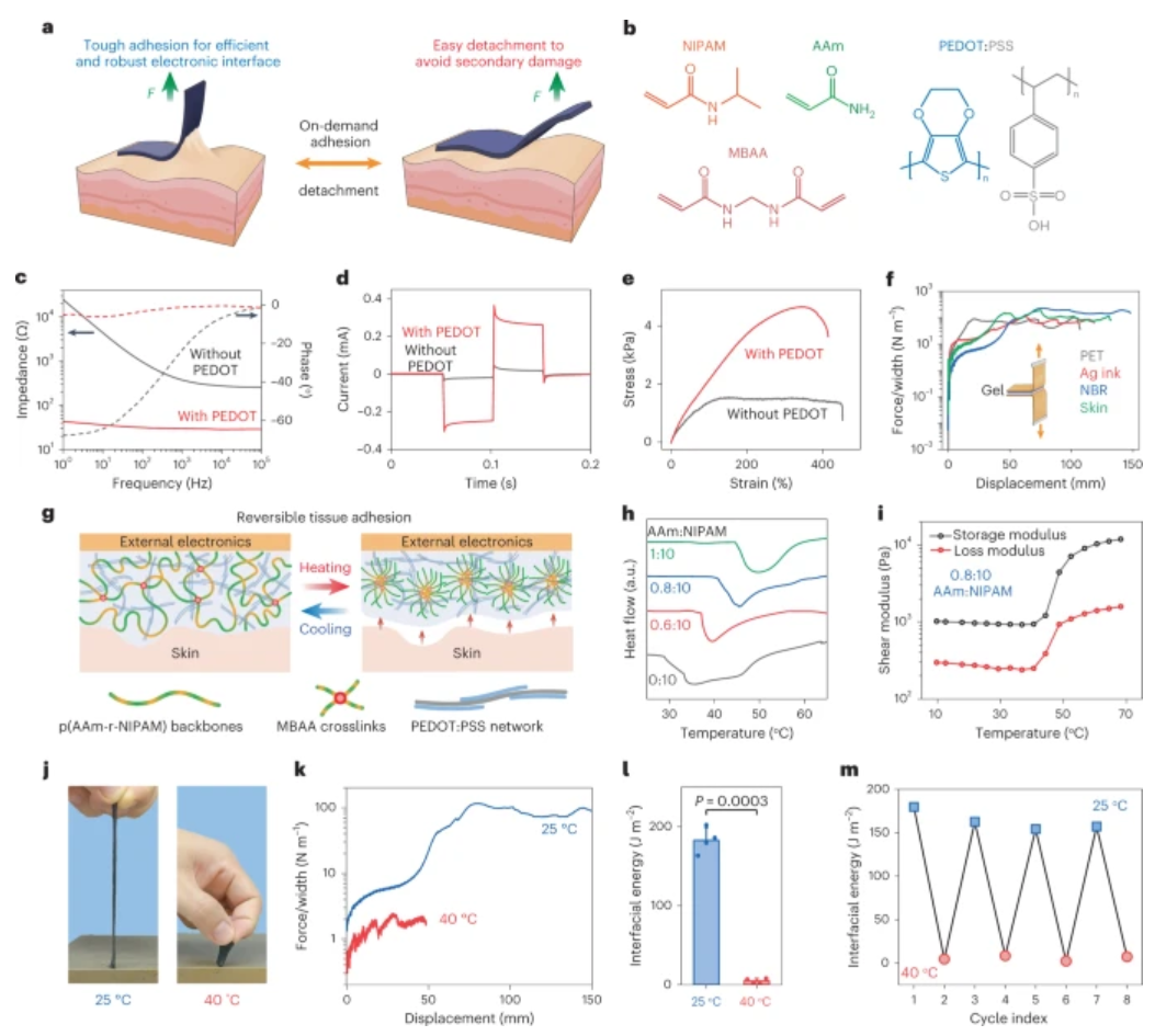 鮑哲南教授等人，最新Nature子刊！