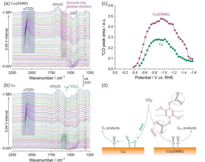 催化頂刊集錦：Angew.、Nat. Commun.、ACS Catalysis、ACS Energy Letters等