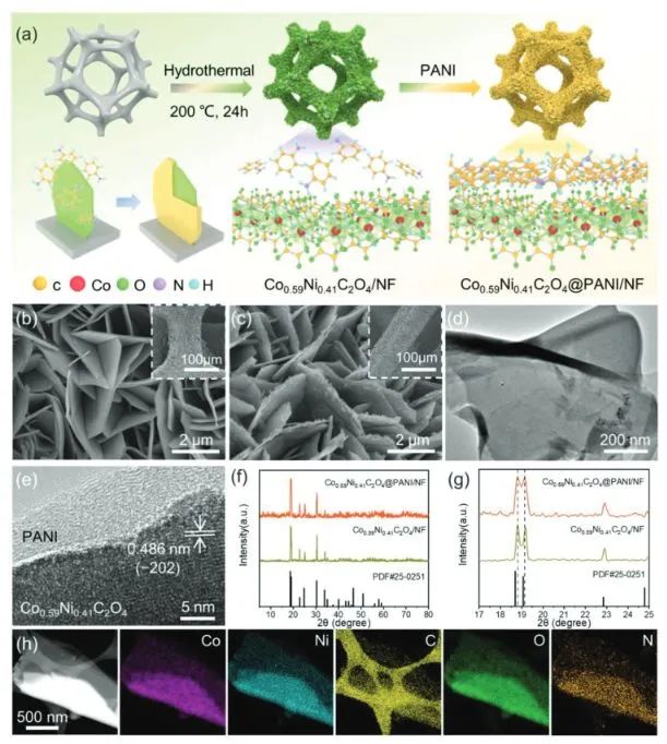 催化日報||頂刊集錦：EES/JACS/AFM/Nano Energy/ACS Catal/Small等