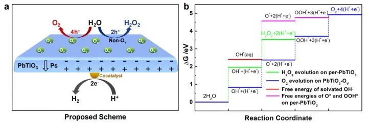 催化頂刊集錦：JACS、Nature子刊、AFM、ACS Catalysis、Adv. Sci.、Small等