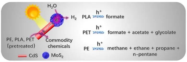 邱博誠ACS Catalysis：變廢為寶：具有MoS2尖端的CdS將塑料光重整為增值化學品和氫氣