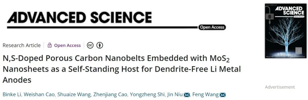 北化王峰/牛津Adv. Sci.：10C循環1600圈，高性能鋰金屬電池！