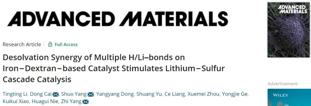 楊植&楊碩&蔡冬AM：受治療貧血藥啟發的鋰硫電池催化劑設計