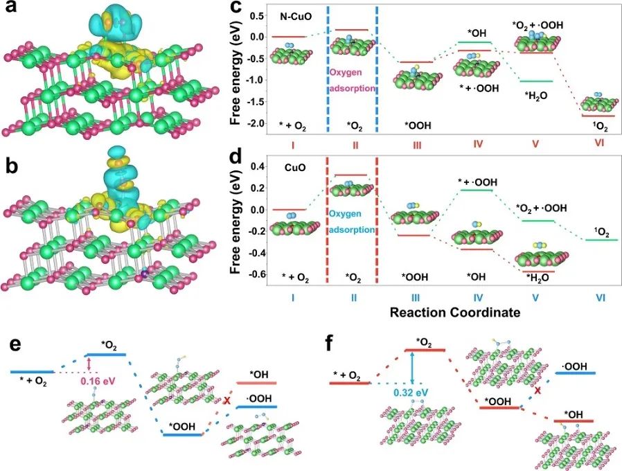 Nature子刊：N-CuO電催化O2產(chǎn)生1O2以降解有機(jī)污染物