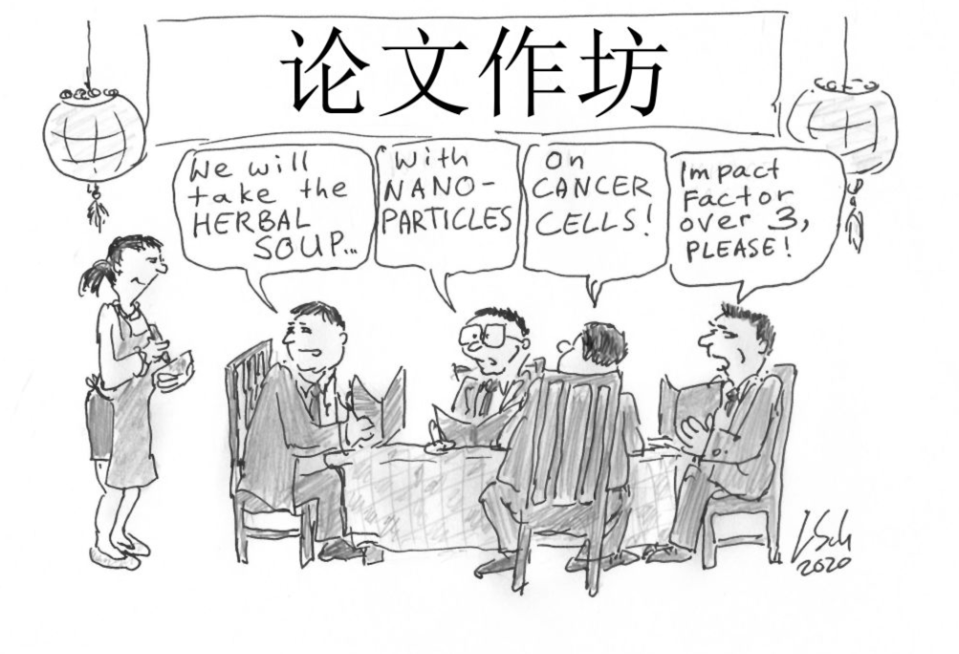 ACS Energy Letters吐槽：你們發論文，就像快餐店制作三明治一樣！