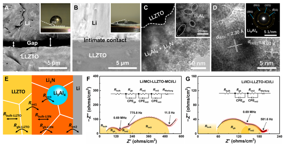 夏永姚/王春生/王飛，最新Science子刊！