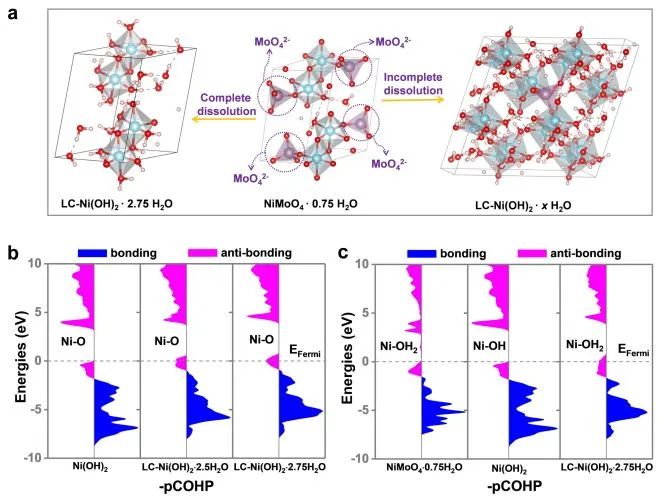 催化頂刊集錦：Nature子刊、AM、AEM、ACS Catalysis、Nano Energy等成果