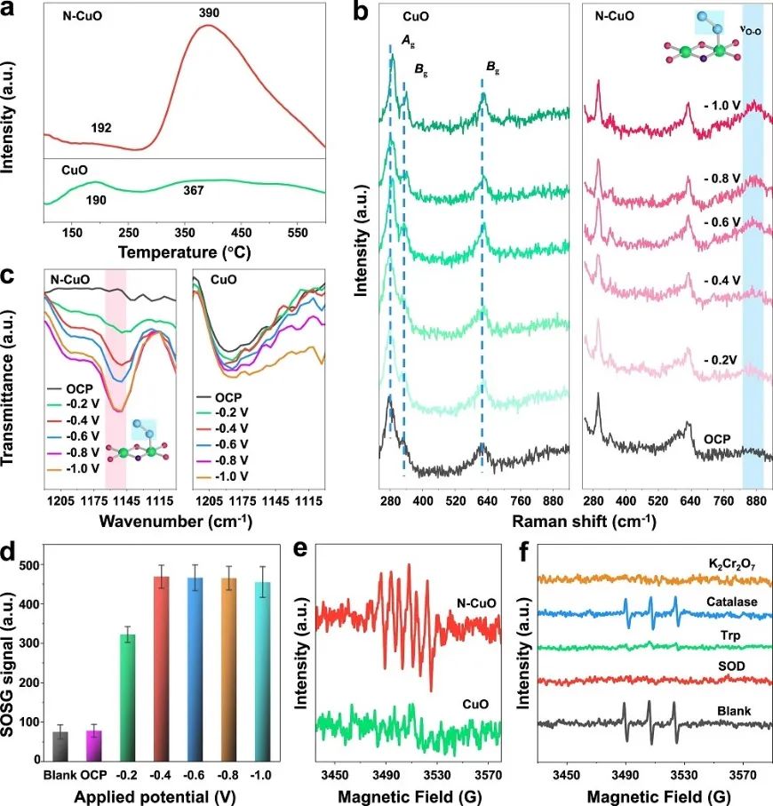催化頂刊集錦：Angew.、Nature子刊、AFM、Small、Nano Res.等成果