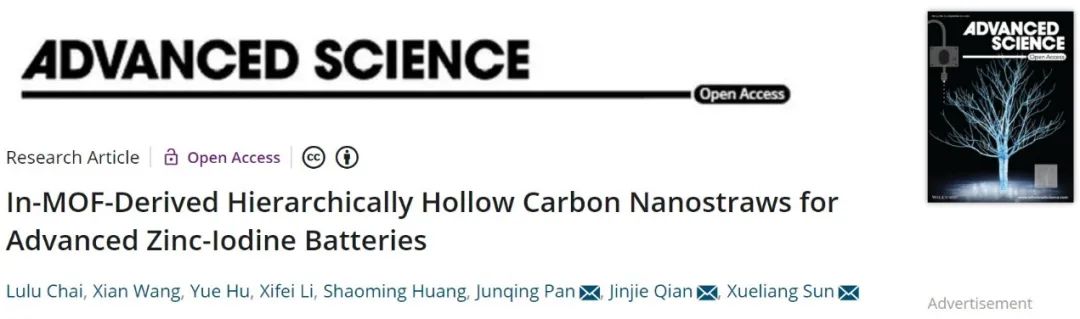 ?孫學良/錢金杰/潘軍青Adv. Sci.：基于MOF衍生中空碳納米管的高性能正極