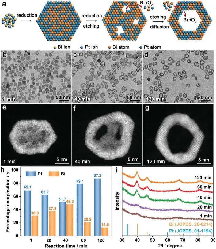 催化頂刊集錦：Angew.、Nature子刊、AFM、Small、Nano Res.等成果