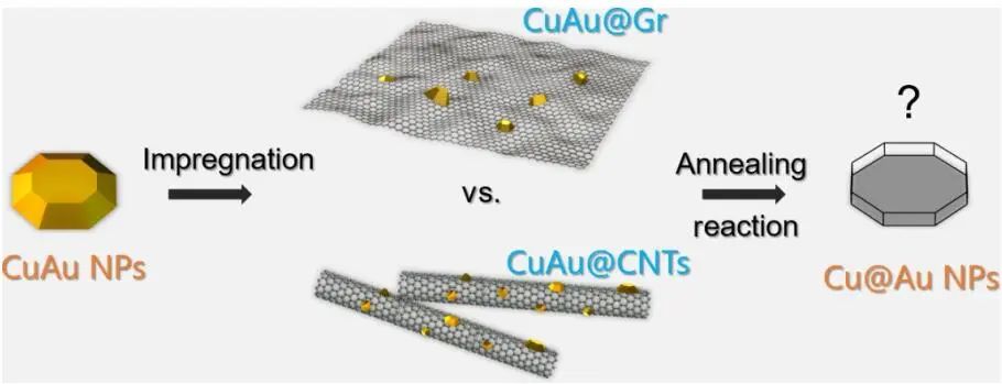 催化頂刊集錦：Angew.、Nature子刊、AFM、Small、Nano Res.等成果